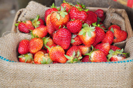 Red fresh strawberries in burlap sackの写真素材
