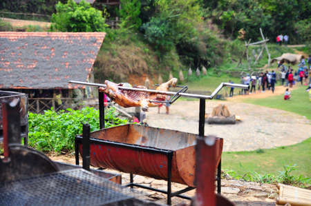 Grilling whole pig on hot charcoal in village in vietnamの写真素材