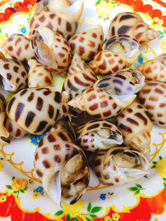 Steamed shells on dish for street food in Vietnamの写真素材