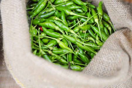 Green hot fresh chili pepper in burlap sackの写真素材
