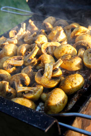 Grilled mushrooms on hot charcoal outdoorの写真素材