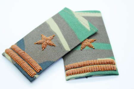 Green camouflaged badge located on a white background