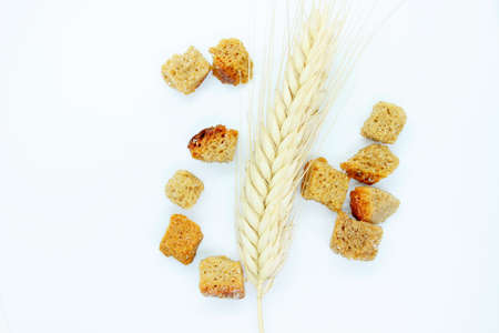 Salted rye crackers and rye earare are located on a white backgroundの写真素材