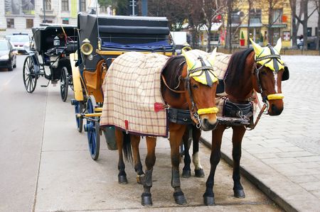 two horses harnessed to the carriage,  Vienna, Austriaの写真素材