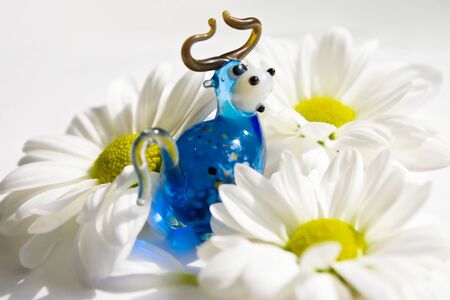 Cow in flowers on whiteの写真素材