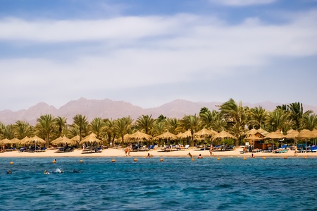 View on a beach from a sea, Red Sea, Egyptの写真素材