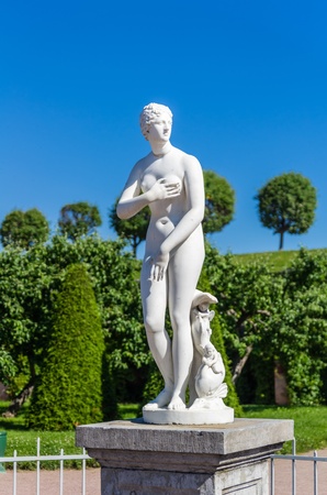 Closeup white female statue in Peterhof, Saint-Petersburg, Russiaの写真素材