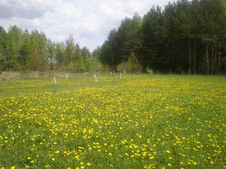 Minsk region.の写真素材