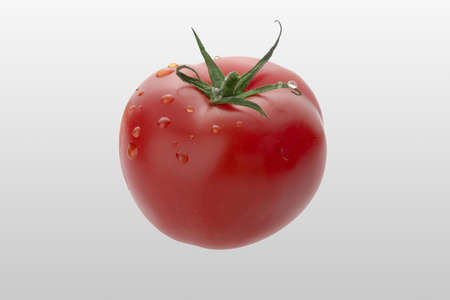 Single fresh tomato and leaf covered with water dropsの写真素材