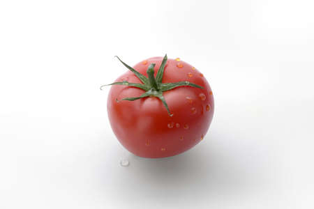 Single fresh tomato and leaf covered with water dropsの写真素材