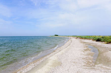 Pristine shelly beach and green shrub with cloudscape in distanceの写真素材