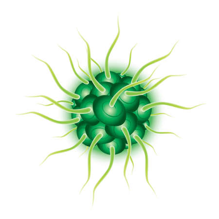 Flu virus isolatedのイラスト素材