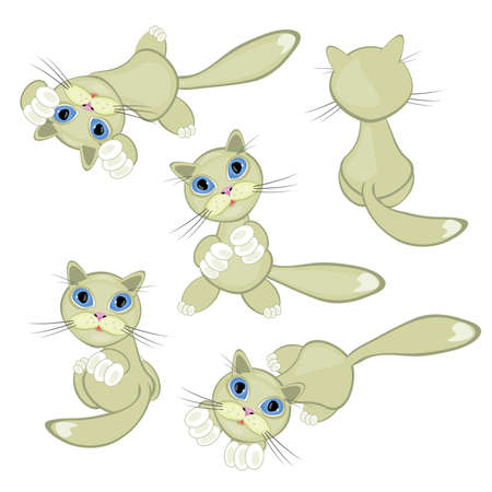Cat set. illustration on white background for design.のイラスト素材