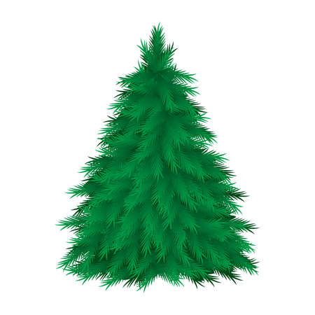 Coniferous tree isolated. Vector illustration on white backgroundのイラスト素材