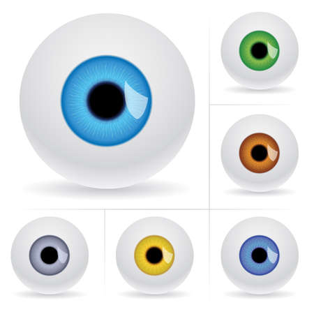Eye balls. Vector illustration on white backgroundのイラスト素材