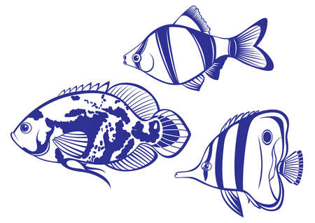 Tropical Fish. Set #2 Vector illustration on white background for designのイラスト素材