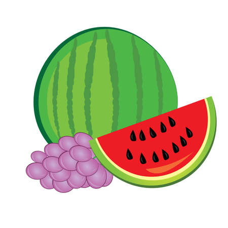Illustration of healthy fresh fruit. Watermelon and grapesのイラスト素材
