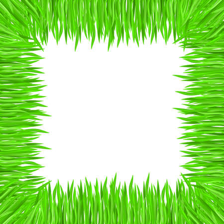 Vector illustration of grass frame. Green squareのイラスト素材