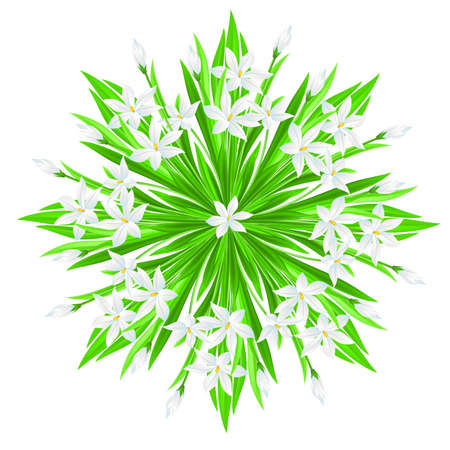 spring flower
frame. Starのイラスト素材