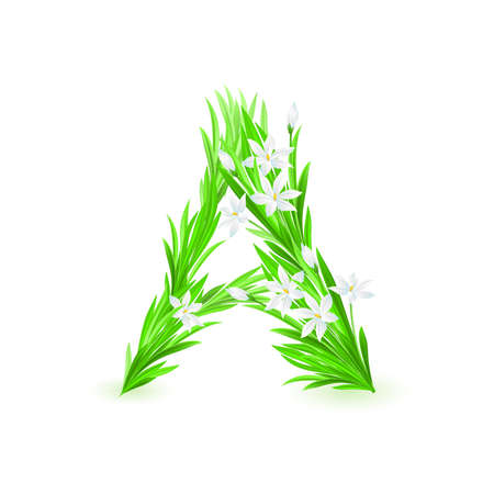One letter of spring flowers alphabet - A. Illustration on white backgroundのイラスト素材