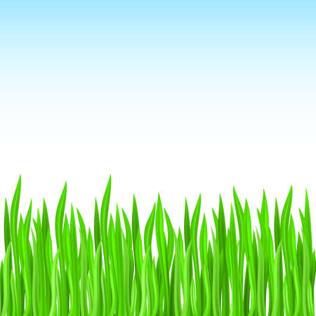 green grass. Green designのイラスト素材