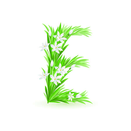 One letter of spring flowers alphabet - E. Illustration on white backgroundのイラスト素材