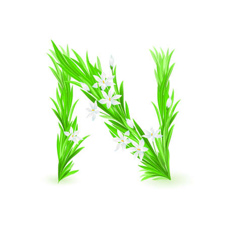 One letter of spring flowers alphabet - N. Illustration on white backgroundのイラスト素材