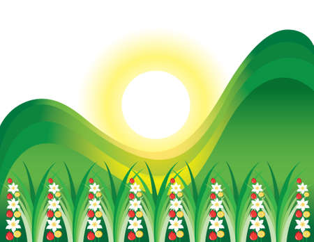 Abstract flowering grass in the sun. Illustration on white backgroundのイラスト素材