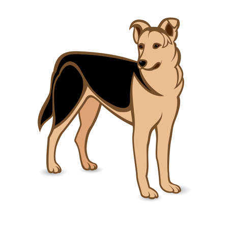 Realistic German Shepherd. Illustration on white backgroundのイラスト素材