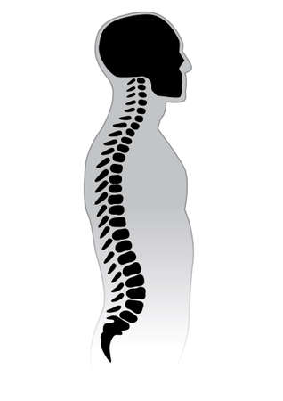 Human Spine. Black and white illustration.のイラスト素材