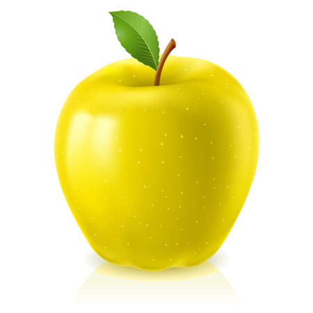 Yellow apple. Illustration on white backgroundのイラスト素材