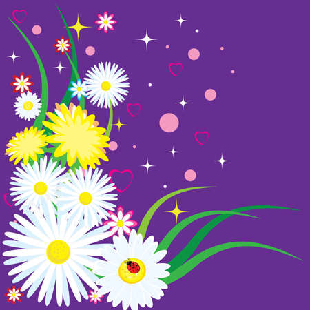Beautiful chamomiles with ladybug. Illustration on purple backgroundのイラスト素材