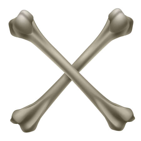 Two realistic crossbone. Illustration on white backgroundのイラスト素材