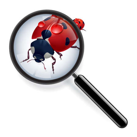 Ladybug and zoom. Illustration of the designer on a white background のイラスト素材