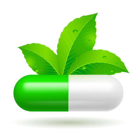 Organic capsule with green Leaves. Illustration on whiteのイラスト素材
