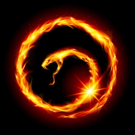 Abstract spiral snake. Illustration on black backgroundのイラスト素材