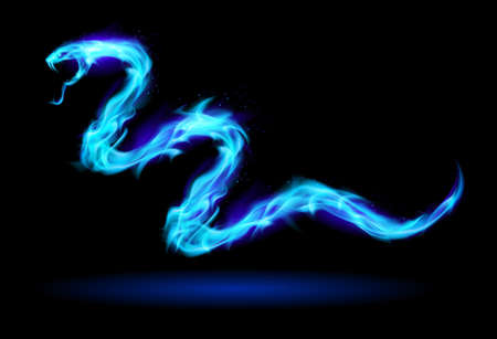 Blue Fire Snake. Illustration on black for designのイラスト素材