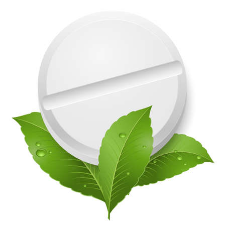 Tablet and leaves. Illustration on white backgroundのイラスト素材