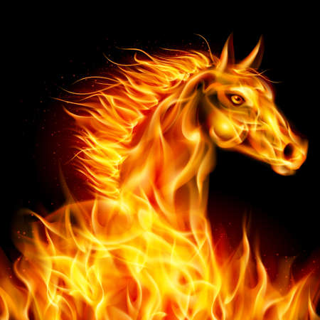 Head of horse in fire on black background.のイラスト素材