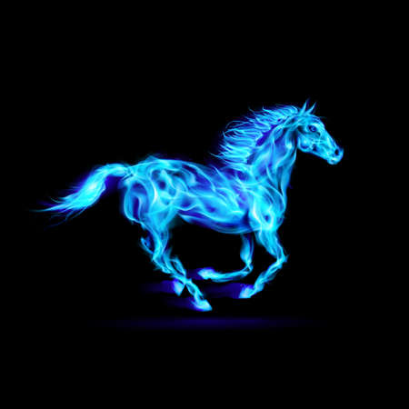Illustration of blue fire horse on black background. のイラスト素材