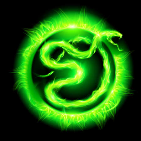 Green fire snake in blazing circle on black background. のイラスト素材
