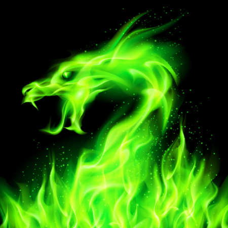 Fire head of dragon in green on black background. のイラスト素材