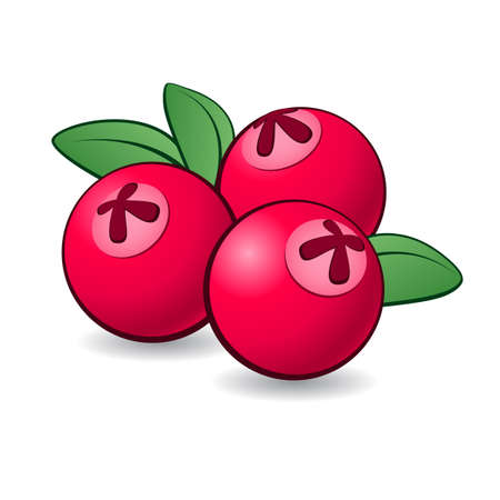 Cartoon cranberry with green leaves on white background.のイラスト素材