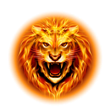 Head of aggressive fire lion isolated on white background.のイラスト素材