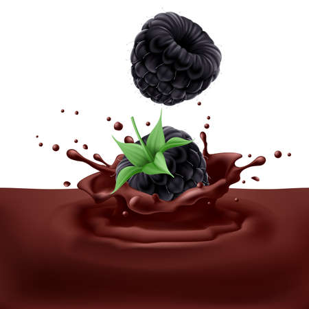 Appetizing blackberries dipping into chocolate with splashesのイラスト素材
