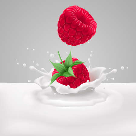 Appetizing raspberries falling into milk with splashesのイラスト素材