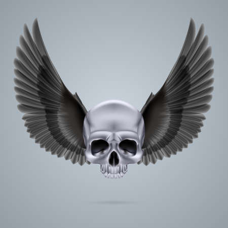 Metal chrome skull with two black crow wings and no jaw bone.のイラスト素材