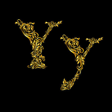 Richly decorated letter 'y' in upper and lower case.のイラスト素材