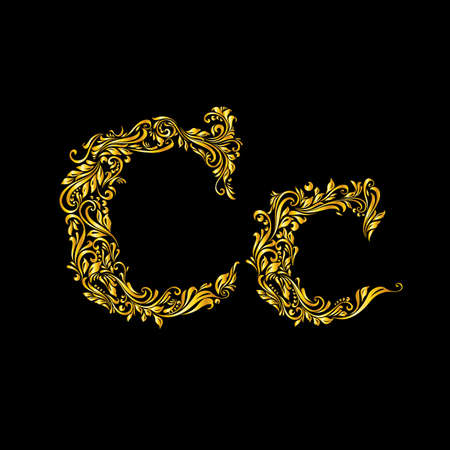 Richly decorated letter 'c' in upper and lower case on black background.のイラスト素材
