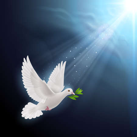 白鳩の写真 イラスト素材一覧 41 806件 ストックフォトのamanaimages Plus